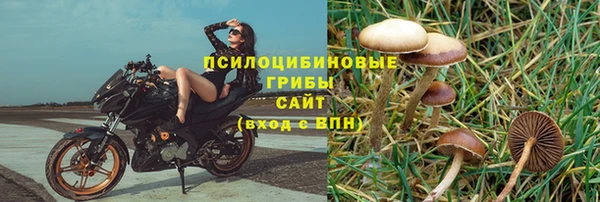 стафф Верея